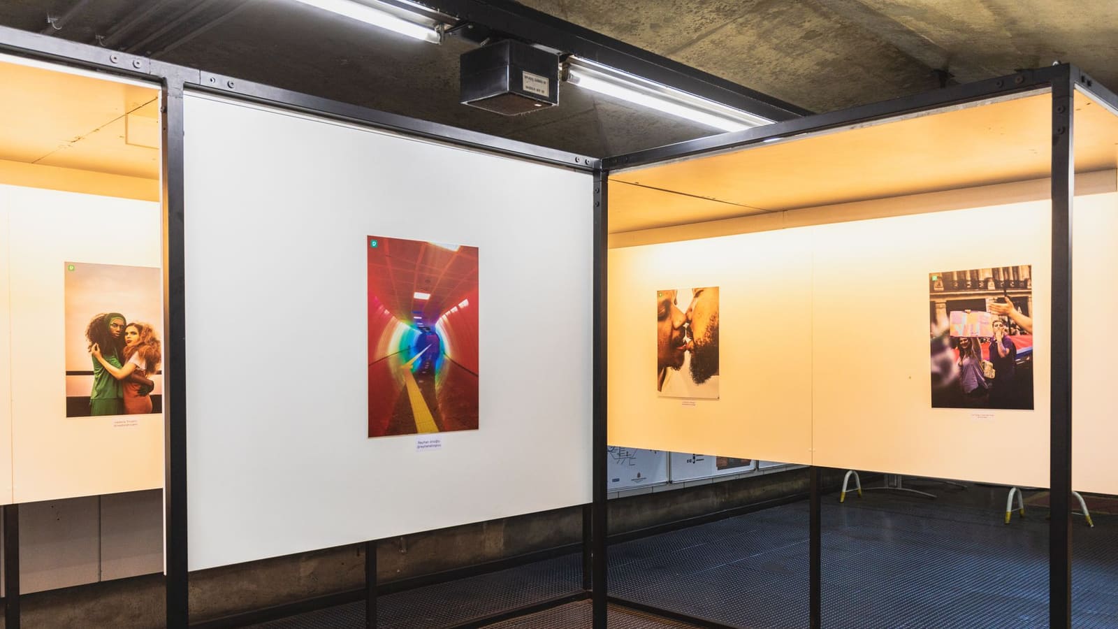 A softly lit shelf of carefully arranged objects, ephemera, and small framed specimens against a muted backdrop, resembling a minimalist museum vitrine